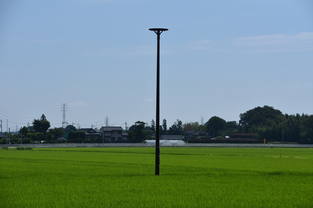 コウノトリ人工巣塔